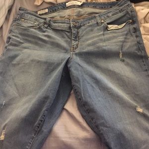 Torrid ripped jeans
