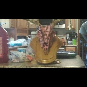 Meet your Posher, Patrice