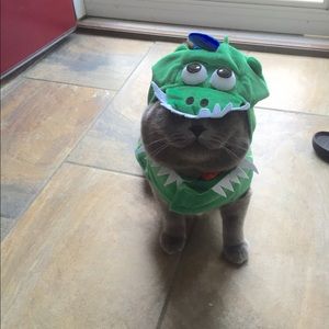 Meet your Posher, Meg