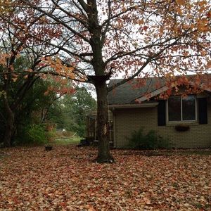 Meet your Posher, Alivia