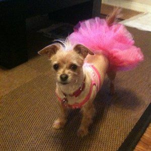 Meet your Posher, Miriam