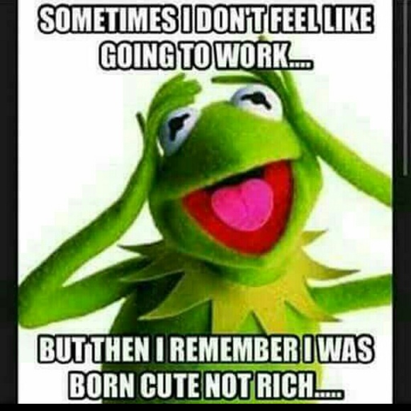 Assorted - Picture 2 of 2