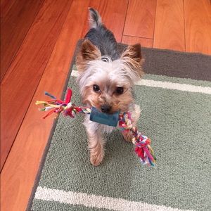 Meet your Posher, Amira