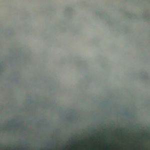 Meet your Posher, Deanna