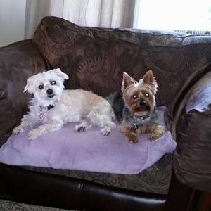 Meet your Posher, Laura