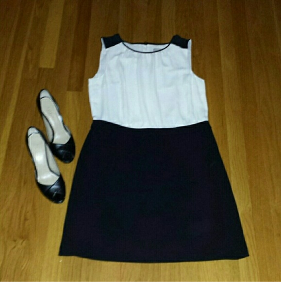 LOFT Cream & Black Dress NWOT - Picture 3 of 4