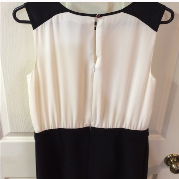 LOFT Cream & Black Dress NWOT - Picture 4 of 4