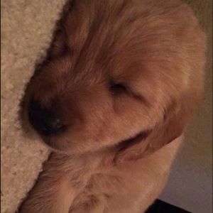 Meet your Posher, Marissa