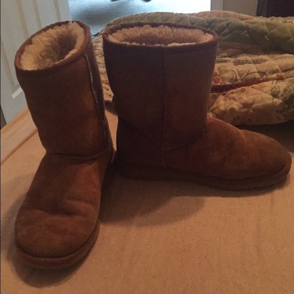 Classic Tan Short UGG Boot