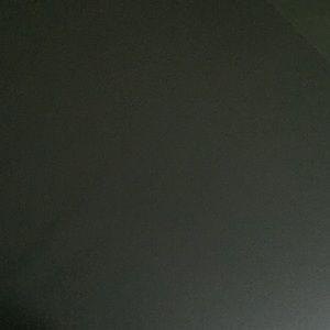 Meet your Posher, Bailey