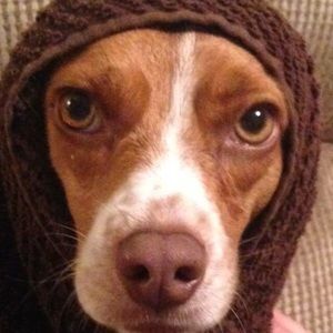 Meet your Posher, Jena