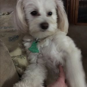 Meet your Posher, Diane