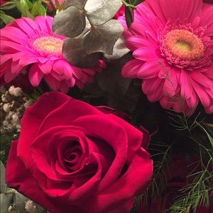 Meet your Posher, Dawn