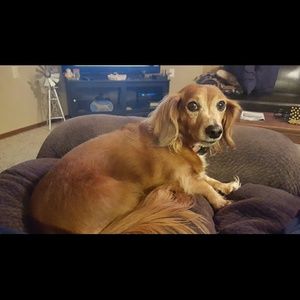 Meet your Posher, Kristi