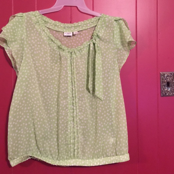 Shirt sleeve mint green blouse.