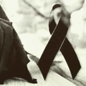 Meet your Posher, Luz a