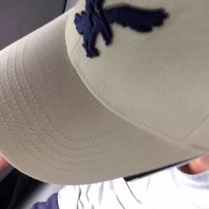 Meet your Posher, Gary