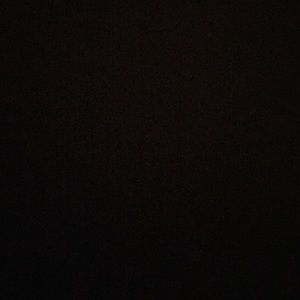 Meet your Posher, Dylan