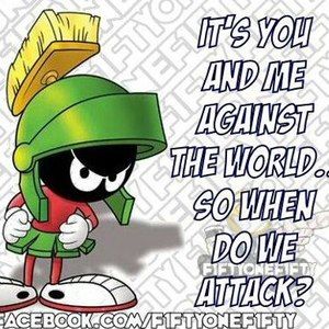 Meet your Posher, Misty