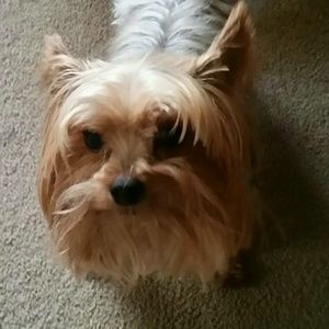 Meet your Posher, Melanie