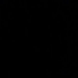 Meet your Posher, Britney