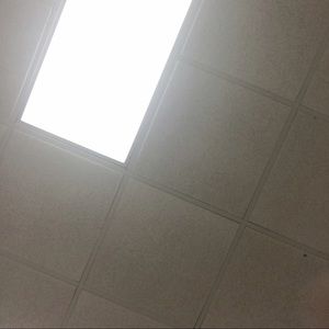 Meet your Posher, Bryanna