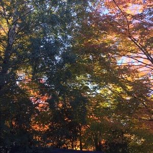 Meet your Posher, Keisha