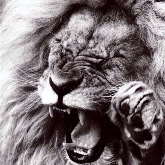 Meet your Posher, Ben - Picture 1 of 1