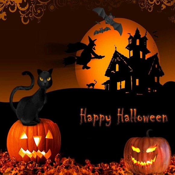 Meet your Posher, Kathy - Picture 1 of 1