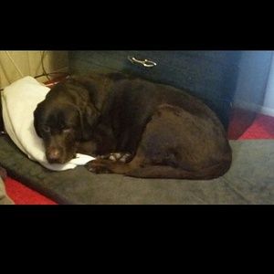 Meet your Posher, Ashly