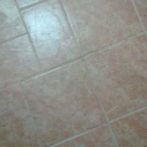 Meet your Posher, Tony