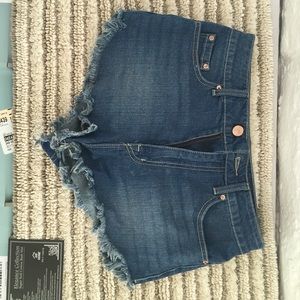 BDG "Super High Rise Dolphin"