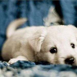 Meet your Posher, Eliana