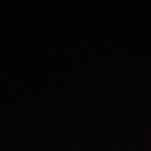 Meet your Posher, Reagan - Picture 1 of 1