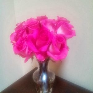 Meet your Posher, Vilma