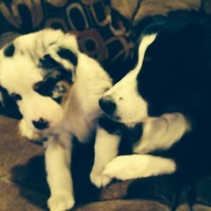 Meet your Posher, Rene