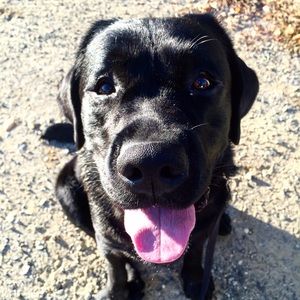 Meet your Posher, Lorie