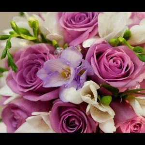 Meet your Posher, Mayra