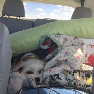 Meet your Posher, Sally