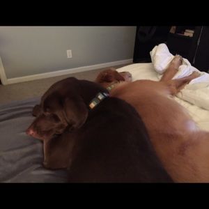 Meet your Posher, Tracy