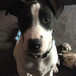 Meet your Posher, Lindsay