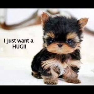 Meet your Posher, Vicki