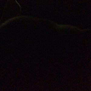 Meet your Posher, Marilyn