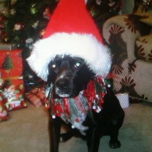 Meet your Posher, Luanne