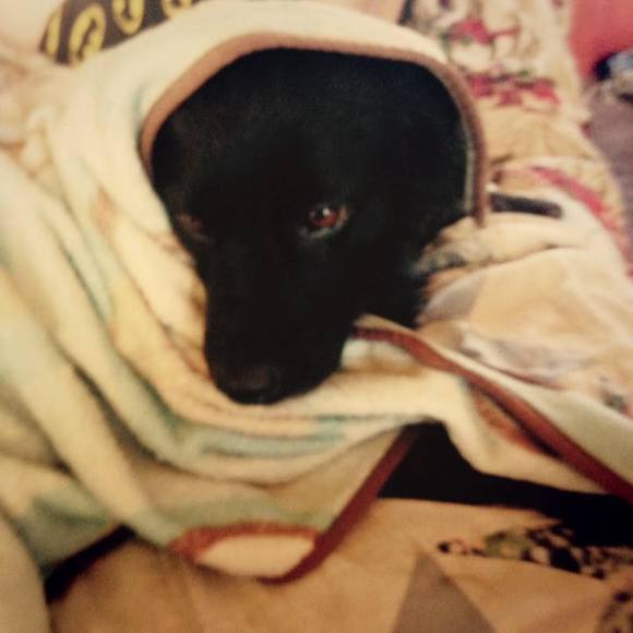 Meet your Posher, Janet - Picture 1 of 1