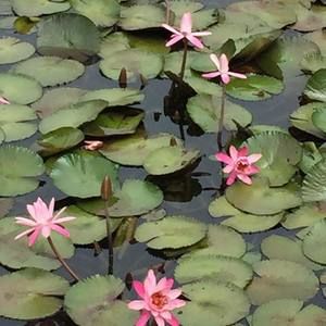 Meet your Posher, Sue