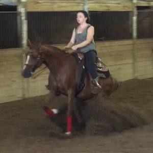 Meet your Posher, Natasha