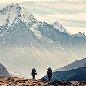 Meet your Posher, Bree