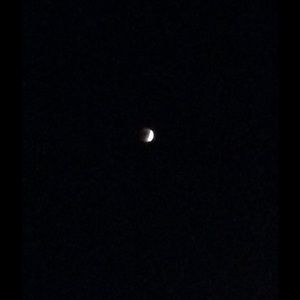 Meet your Posher, Lorre