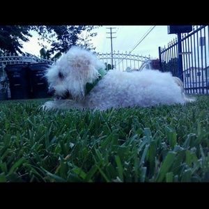 Meet your Posher, Nicolette